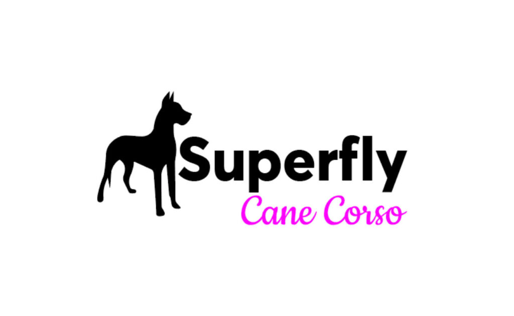 Super Fly Cane Corso Kennel